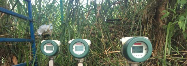 蒸汽香蕉视频成人版，如果食品廠安裝正確，這是非常重要的。